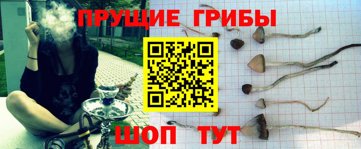 Сибай  Галлюциногенные грибы мухоморы  Псилоцибиновые грибы GOLDEN TEACHER  продажа наркотиков  Вход с VPN 